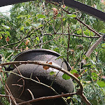 Photo n° 17 de l'avis de Cedric.o fait le 10/09/2022 à 12:03 pour restaurant le chaudron à Carcassonne