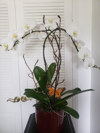 Florist «Rambling Rose Florist», reviews and photos, 22428 Gilmore St, West Hills, CA 91307, USA