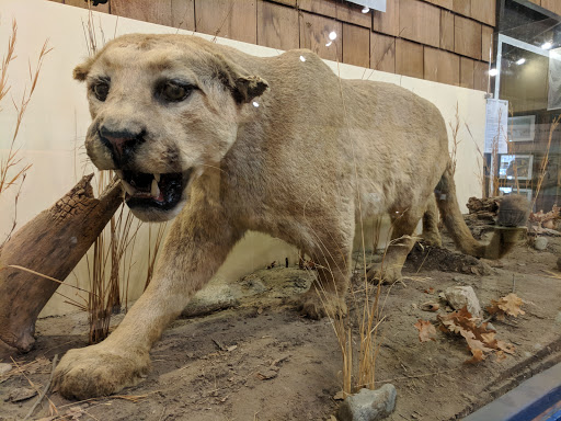 Nature Preserve «Effie Yeaw Nature Center», reviews and photos, 2850 San Lorenzo Way, Carmichael, CA 95608, USA