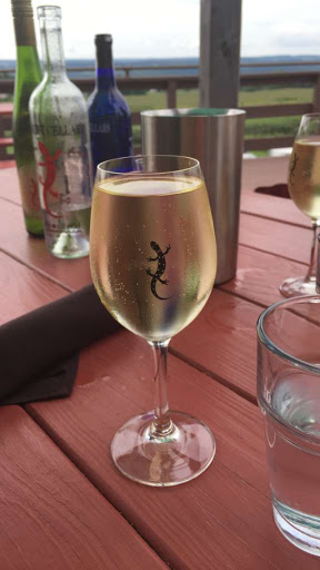 Bistro «Red Newt Cellars Winery and Bistro», reviews and photos, 3675 Tichenor Rd, Hector, NY 14841, USA