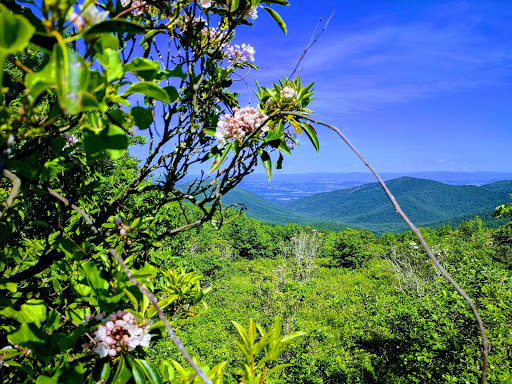 National Park «Shenandoah National Park», reviews and photos