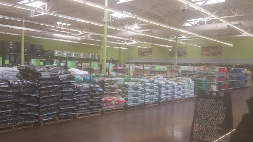 Pet Supply Store «Pet Club Cave Creek», reviews and photos, 4725 E Carefree Hwy, Cave Creek, AZ 85331, USA