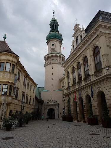 Értékelések erről a helyről: Borealis Modern, Sopron - Ékszerekbolt