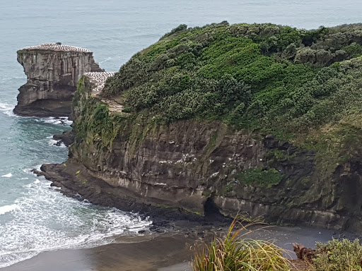 Kate Arthur Equestrian - Horse Riding Lessons Auckland