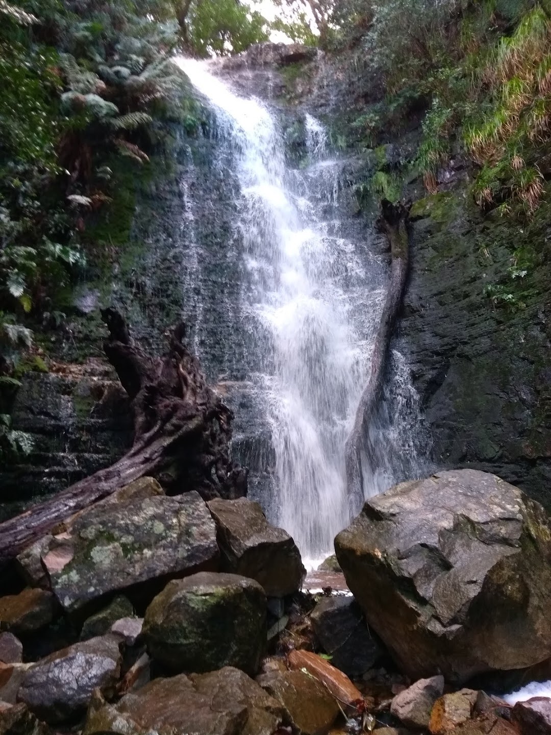 Myburghs Waterfall Ravine