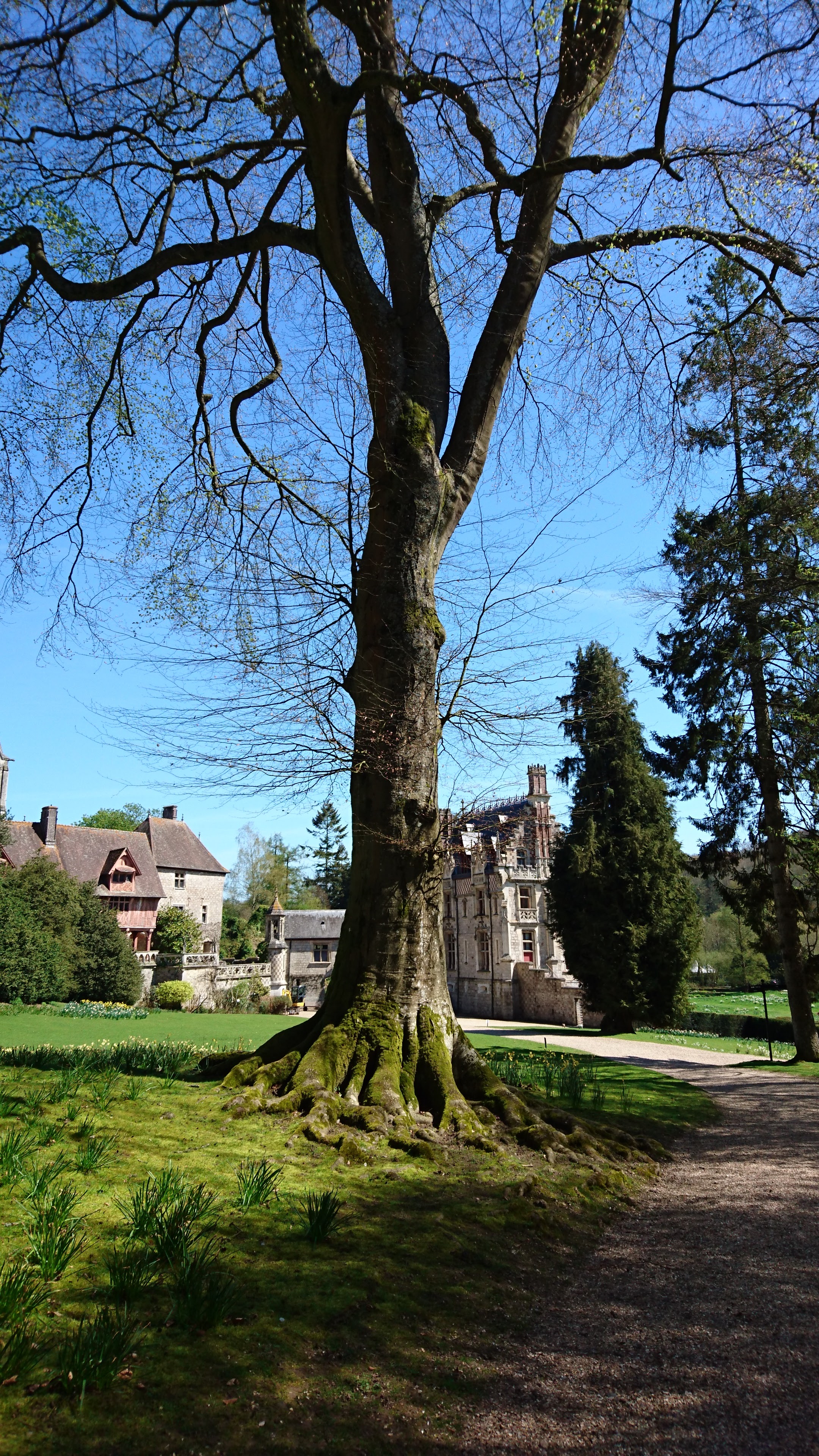 Photo n° 32 de l'avis de Pascale.o fait le 18/04/2018 à 14:11