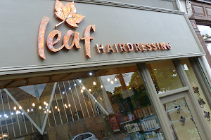 Leaf Hairdressing image