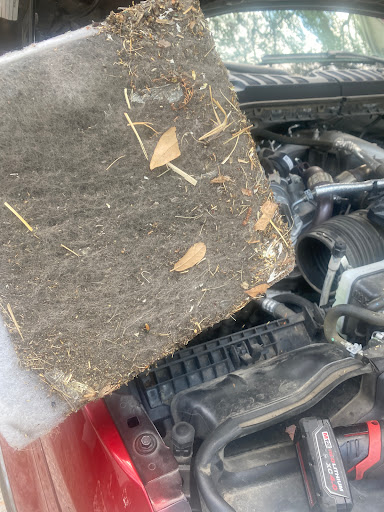 Ford Dealer «Brandon Ford», reviews and photos, 9090 E Adamo Dr, Tampa, FL 33619, USA