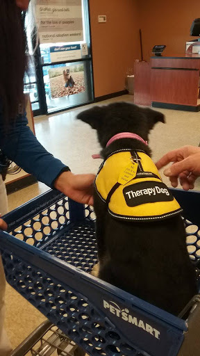 Pet Supply Store «PetSmart», reviews and photos, 4327 Genesee Valley Plaza, Geneseo, NY 14454, USA