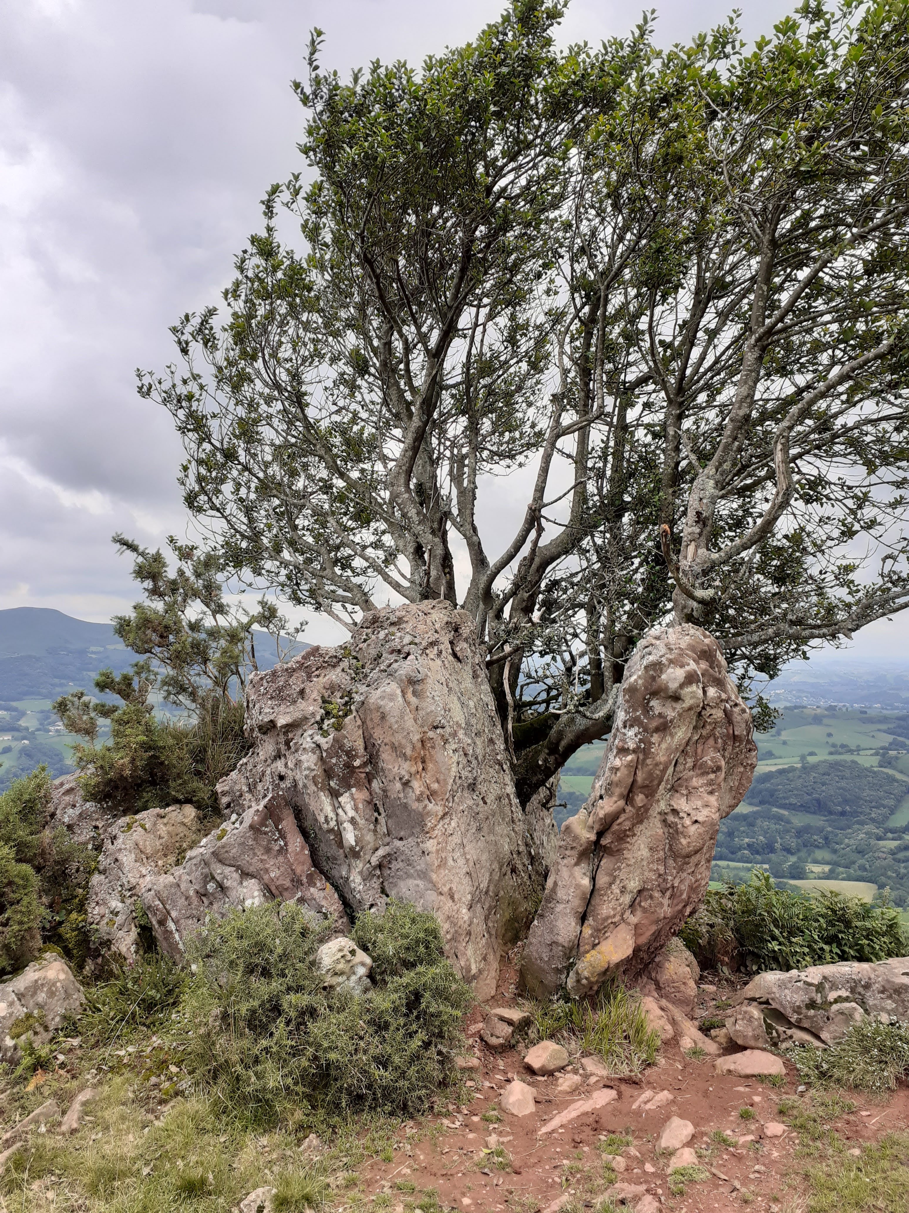 Photo n° 14 de l'avis de Breizh.b fait le 20/09/2018 à 14:22