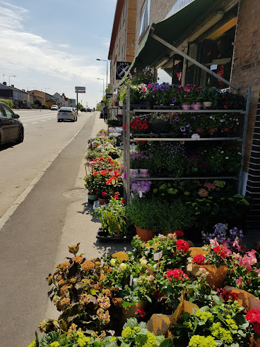 Telefonnummer for Kongevejens Blomster