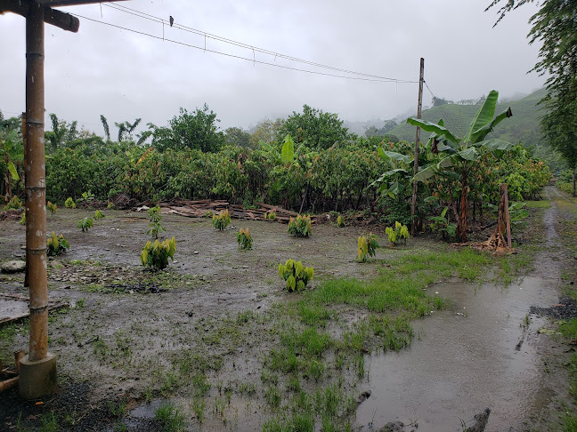 Oswaldo Zambrano Medranda - Asociación