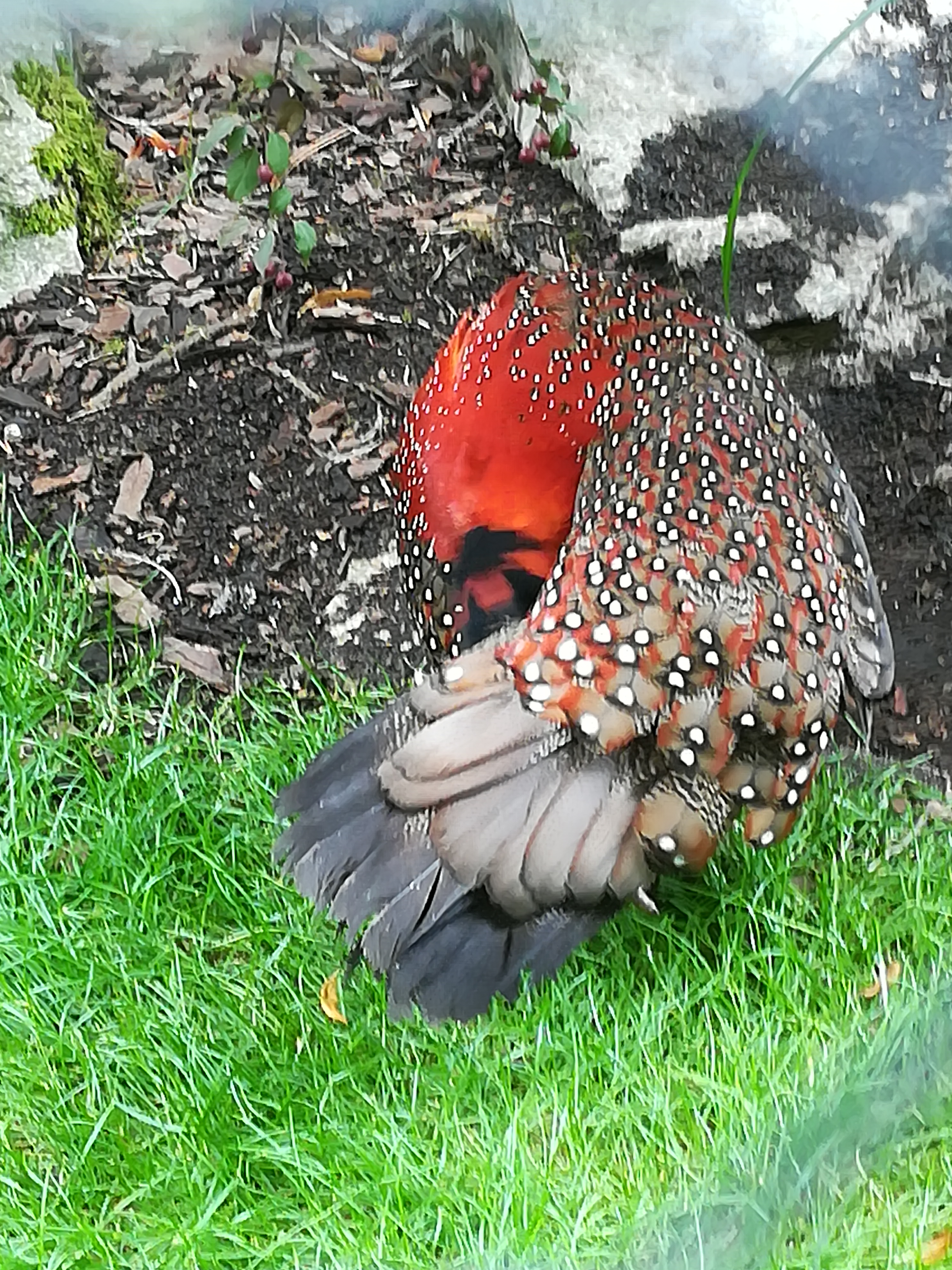 Photo n° 14 de l'avis de Christophe.A fait le 26/07/2020 à 19:03