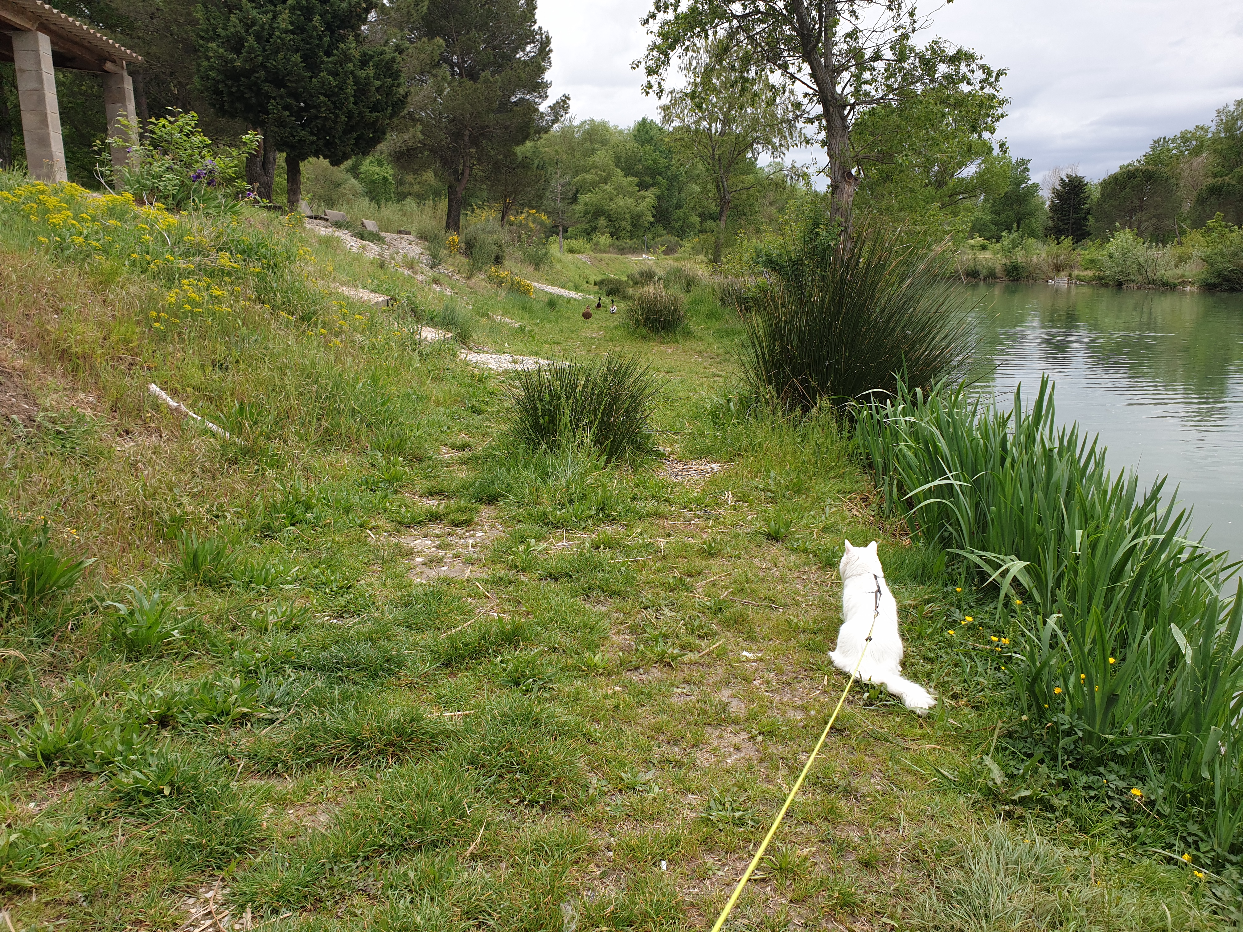 Photo n° 2 de l'avis de Filipa.o fait le 28/05/2019 à 11:15