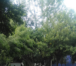 Fuente Ciltlaltépetl photo