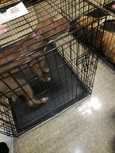 Pet Supply Store «PetSmart», reviews and photos, 1700 Norman Dr #200, Valdosta, GA 31601, USA