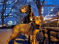 Flipz Pet Care - Photo 8 - Car repair in , New York