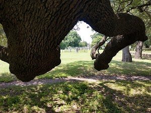 Texas Ranger Hall of Fame & Museum - photo 49