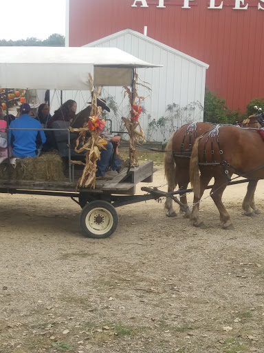 Produce Market «Welsh Heritage Farms», reviews and photos, 20758 528th Ave, Lake Crystal, MN 56055, USA