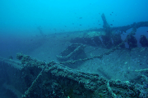 Alpha Diving Center image