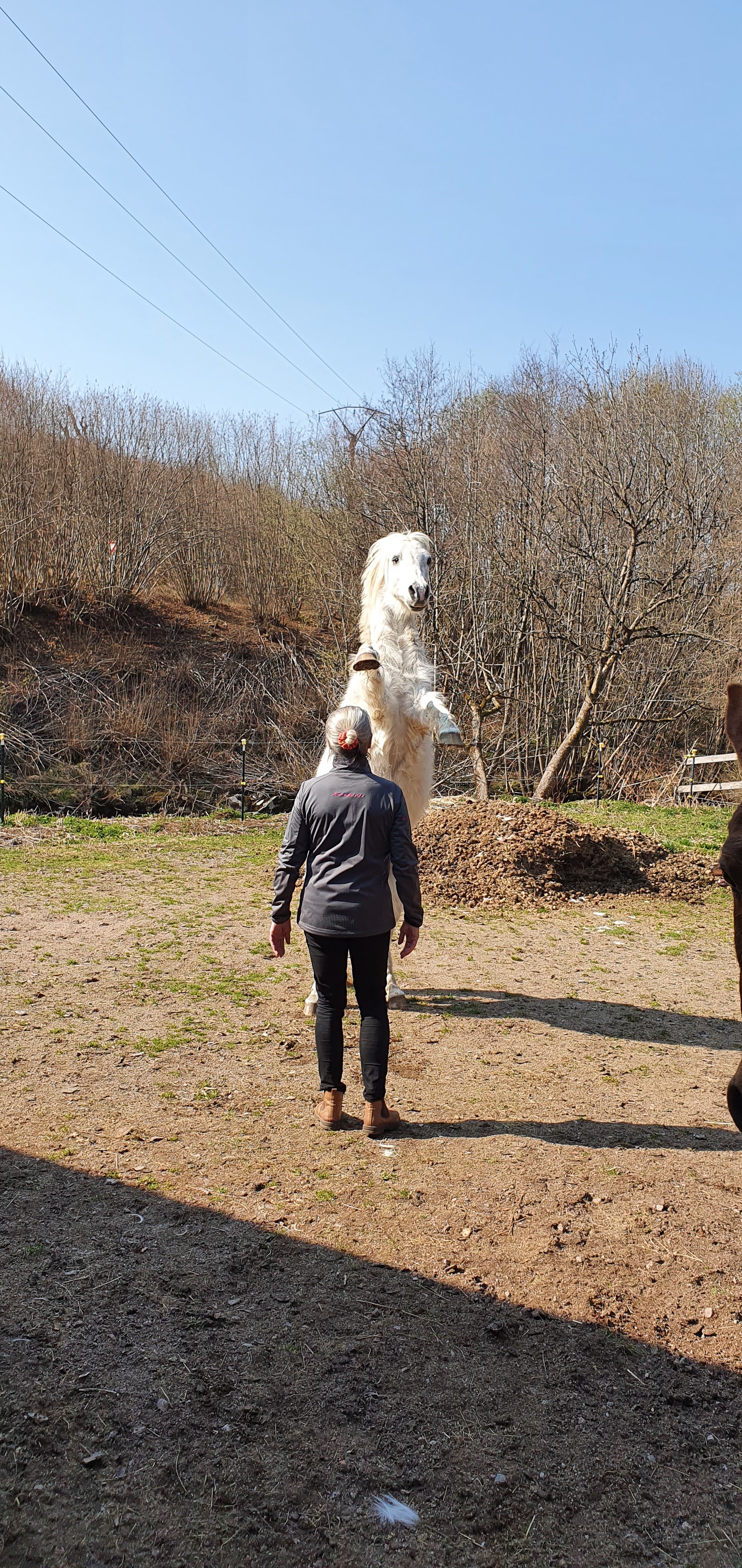 Photo n° 2 de l'avis de Beate.r fait le 01/02/2019 à 15:20