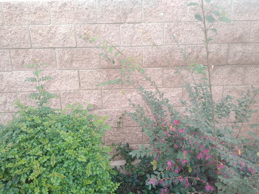 Florist «Secret Garden Florist», reviews and photos, 6076 Lincoln Ave, Cypress, CA 90630, USA