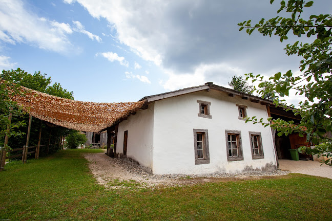 Maison du Banneret Wisard - Delsberg