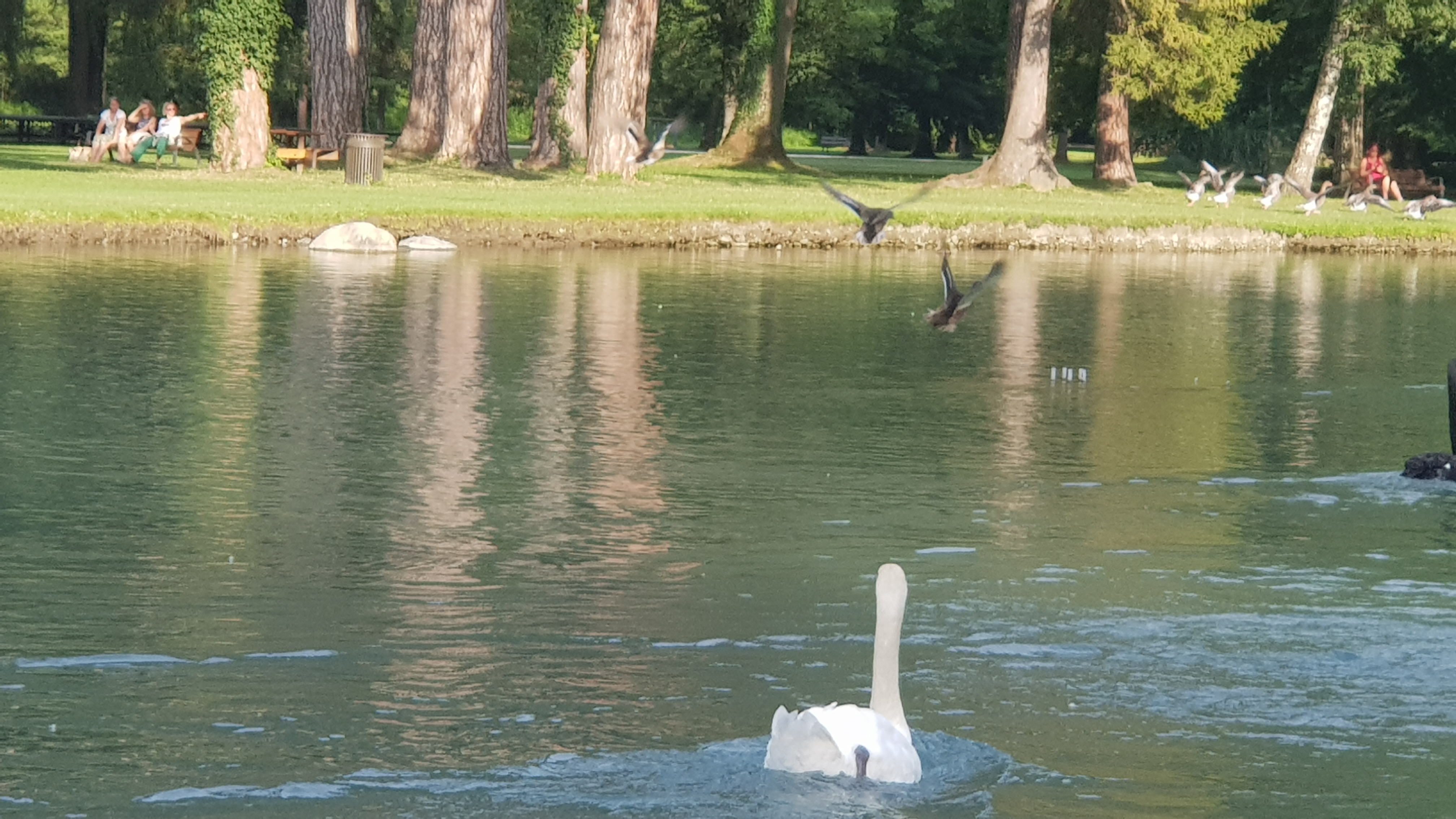Photo n° 21 de l'avis de Bruno.o fait le 24/07/2019 à 07:55