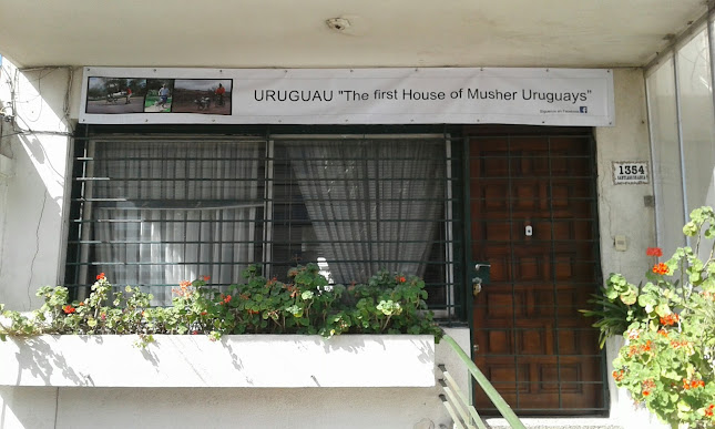 The First House of Mushing Uruguays