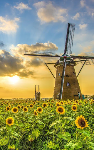 Electronics Store «Best Buy», reviews and photos, 4100 E Mexico Ave A, Denver, CO 80222, USA