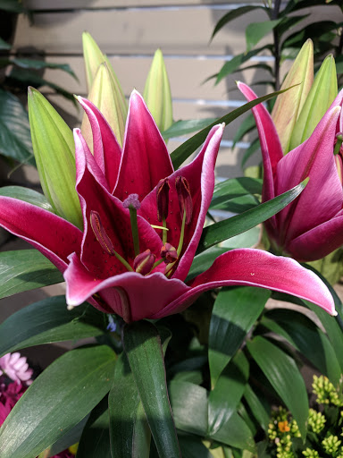 Grocery Store «Lunds & Byerlys Bloomington», reviews and photos, 5159 W 98th St, Bloomington, MN 55437, USA