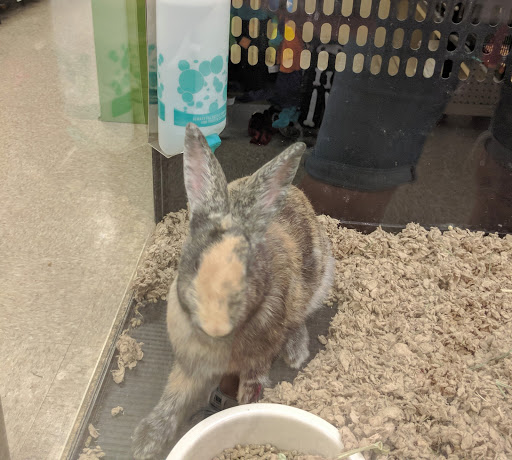 Pet Supply Store «PetSmart», reviews and photos, 2 Brick Plaza, Brick, NJ 08723, USA