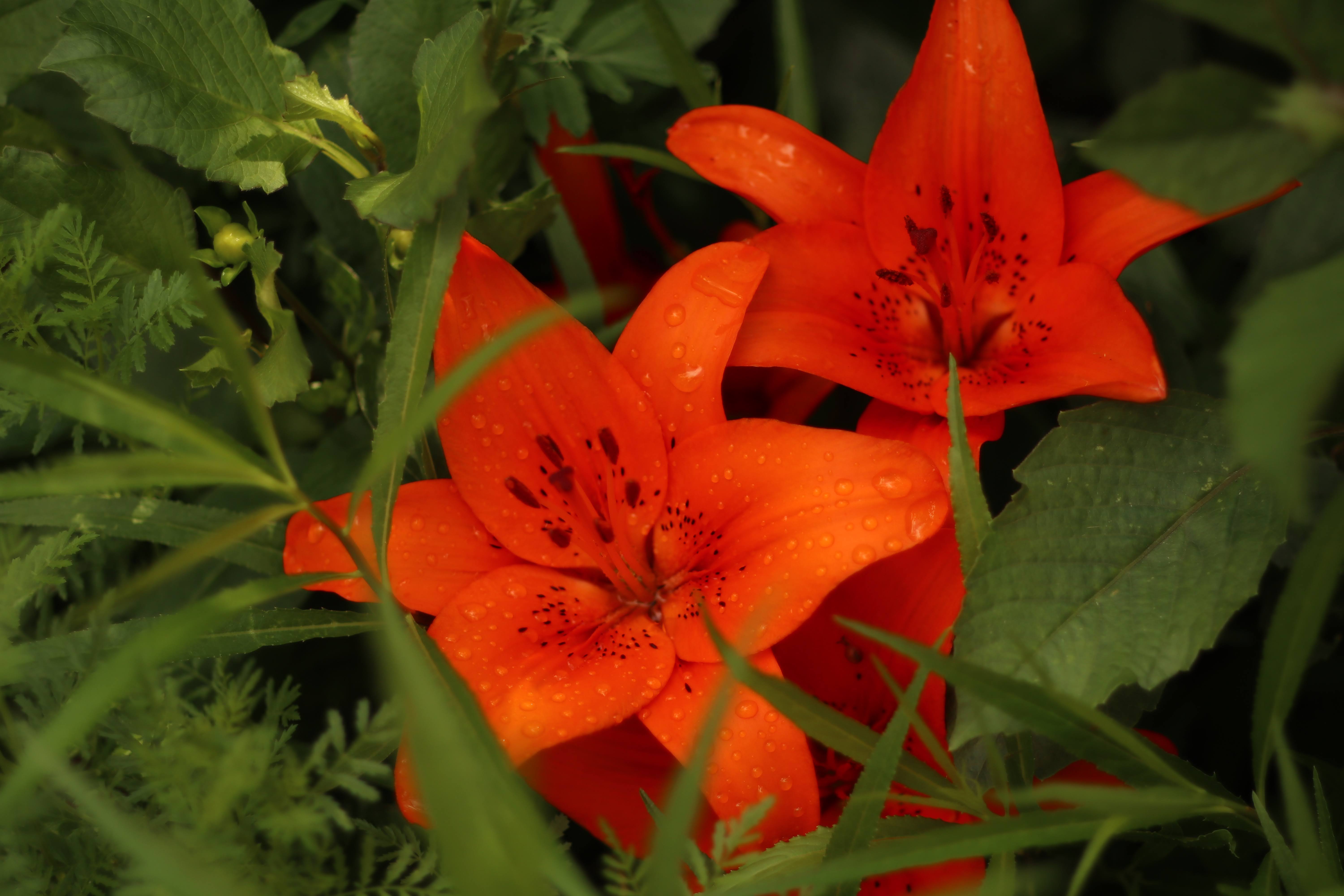 Photo n° 3 de l'avis de Chloé.o fait le 09/08/2023 à 10:34