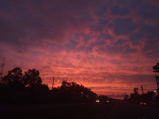 Movie Theater «Regal Cinemas Avenues 20 & RPX», reviews and photos, 9525 Philips Hwy, Jacksonville, FL 32256, USA