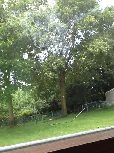 Hotel «Marriott Syracuse Downtown», reviews and photos, 100 E Onondaga St, Syracuse, NY 13202, USA