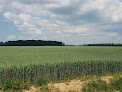 Les Céréales de Berny Fontaines