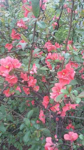 Park «Observatory Park», reviews and photos, 2100 S Fillmore St, Denver, CO 80210, USA