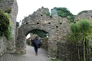 Tenby Castle image