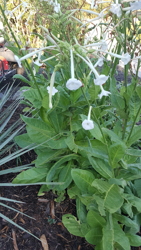 Golf Course «Red Hawk Ridge Golf Course», reviews and photos, 2156 Red Hawk Ridge Dr, Castle Rock, CO 80109, USA