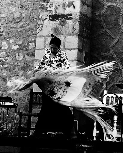 Imagen del negocio Instituto Flamenco Rebeca GarVía en Salamanca, Salamanca