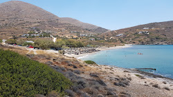 Paralia Delfini'in fotoğrafı çok temiz temizlik seviyesi ile
