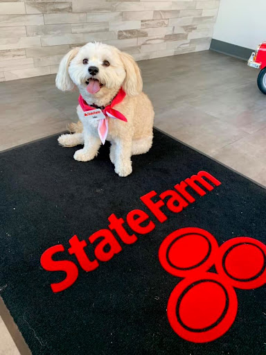 Insurance Agency «Craig Martin State Farm Insurance Agent», reviews and photos