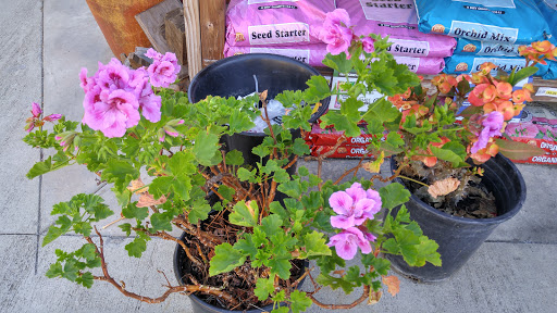 Grocery Store «Diamond Fresh Farmers Market», reviews and photos, 21168 Golden Springs Dr, Walnut, CA 91789, USA