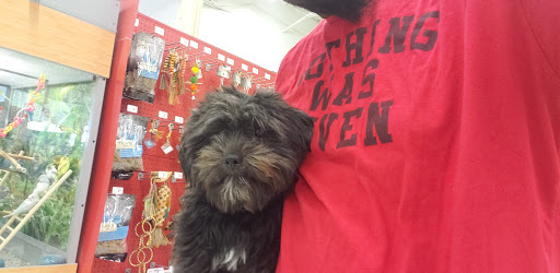 Pet Supply Store «Petco Animal Supplies», reviews and photos, 2255 East Ridge Road, Irondequoit, NY 14622, USA