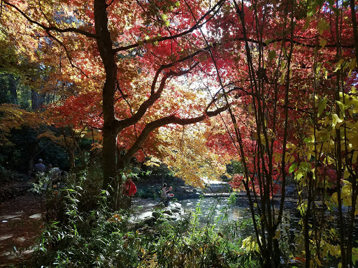 Performing Arts Theater «Oregon Shakespeare Festival», reviews and photos