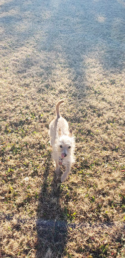 Park «Turtle Rock Park», reviews and photos, 17414 N 12th St, Phoenix, AZ 85022, USA