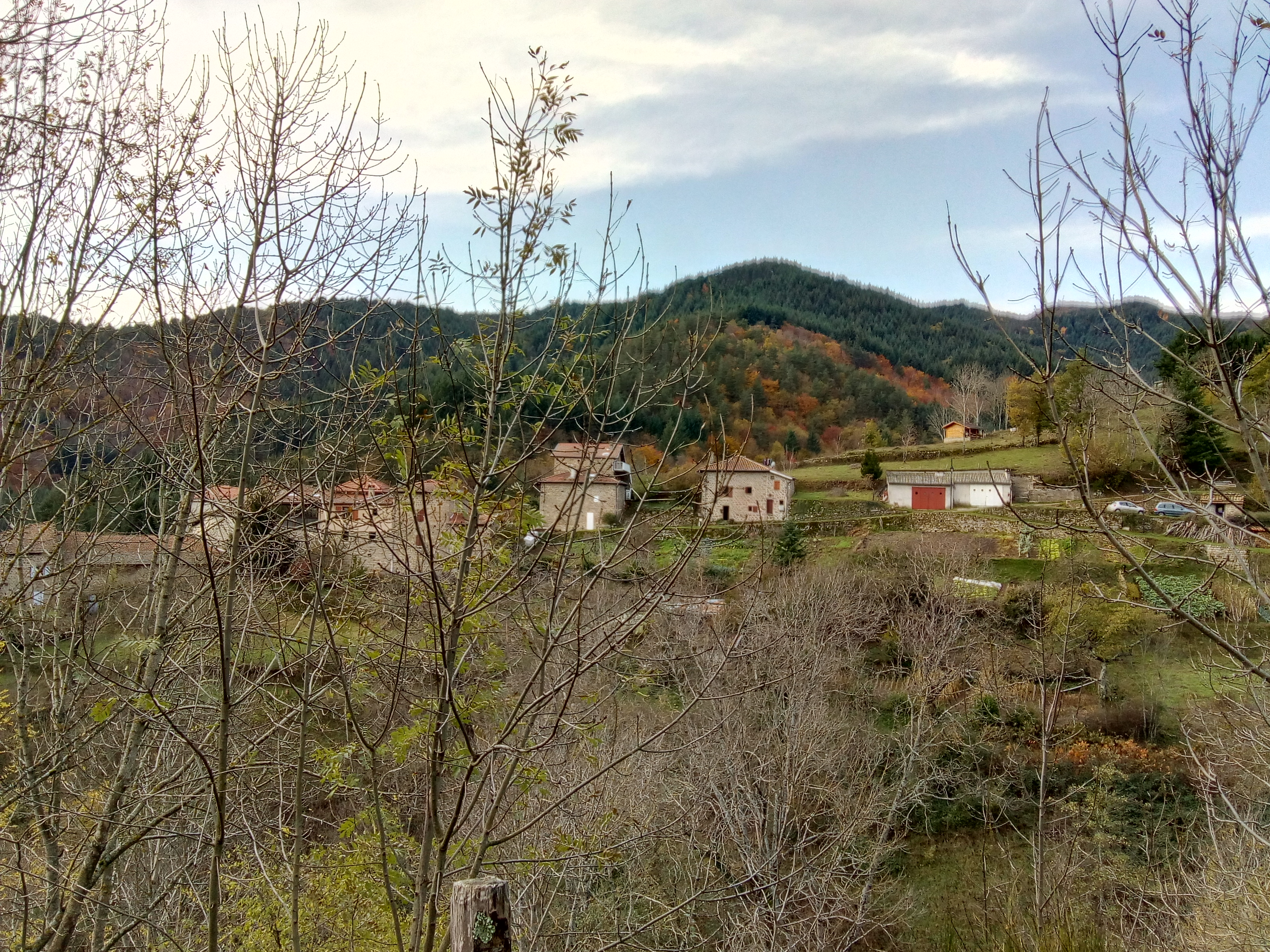 Photo n° 2 de l'avis de Berard.a fait le 11/11/2019 à 18:07