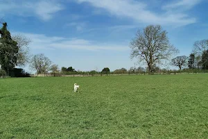 Harrington Dog Walking Field image