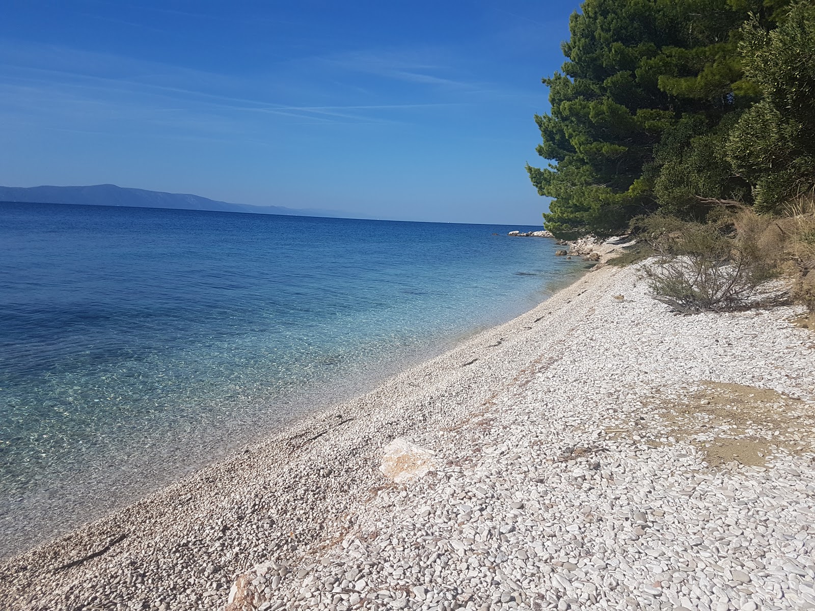 Djevicanska beach的照片 带有碧绿色纯水表面