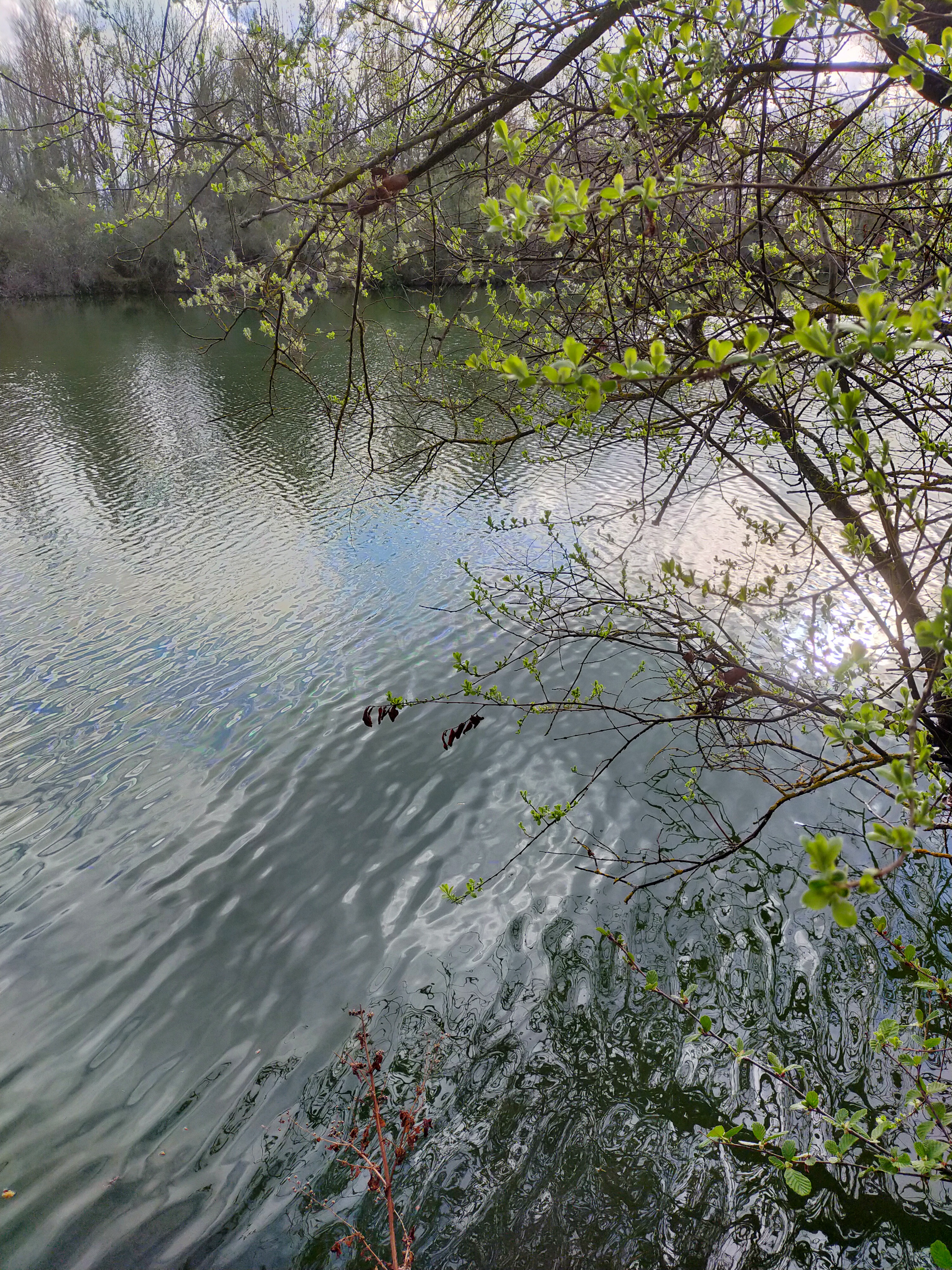 Photo n° 3 de l'avis de Domie.u fait le 13/03/2022 à 17:39